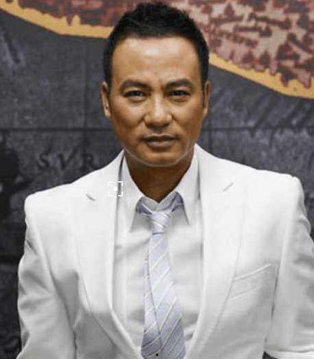 任达华最新爆料,演艺圈背后的真实故事与心路历程