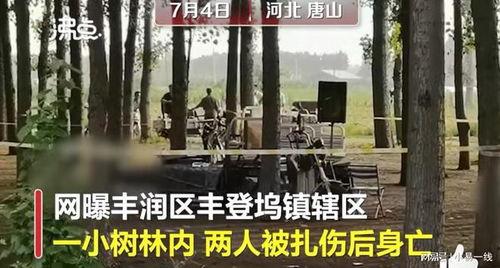 最近唐山爆料案件最新情况,真相逐步浮出水面  第1张