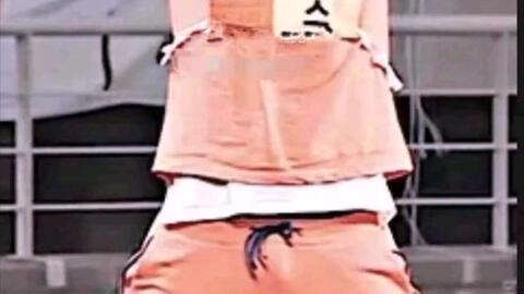 娱乐吃瓜遛鸟大师是谁呀,网络红人的传奇故事  第2张