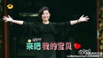 林永健爆料媳妇视频播放,家庭幸福指数飙升 第1张 林永健爆料媳妇视频播放,家庭幸福指数飙升 第1张